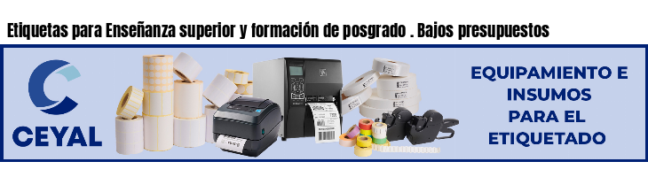 Etiquetas para Enseñanza superior y formación de posgrado . Bajos presupuestos