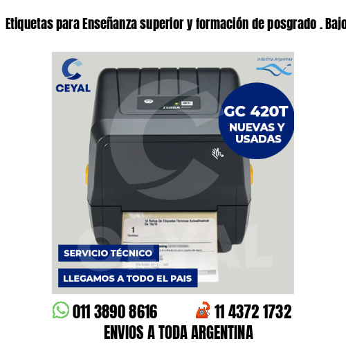 Etiquetas para Enseñanza superior y formación de posgrado . Bajos presupuestos