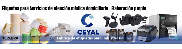 Etiquetas para Servicios de atención médica domiciliaria . Elaboración propia