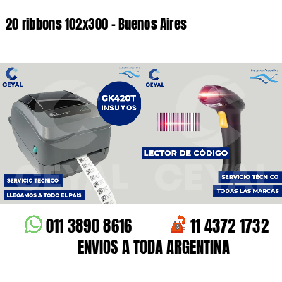 20 ribbons 102x300 - Buenos Aires