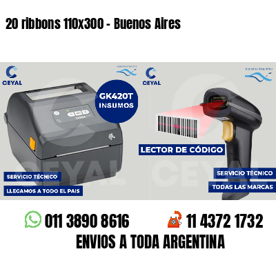 20 ribbons 110x300 - Buenos Aires