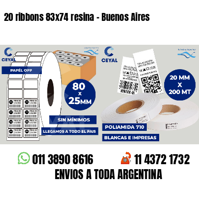 20 ribbons 83x74 resina - Buenos Aires