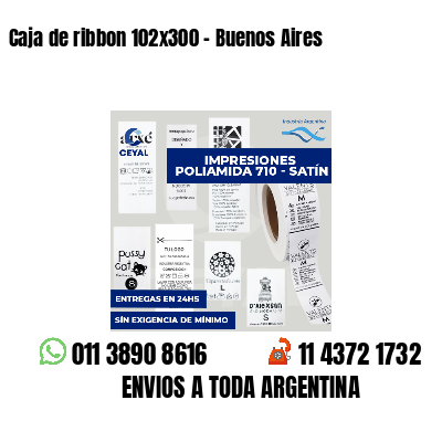 Caja de ribbon 102x300 - Buenos Aires