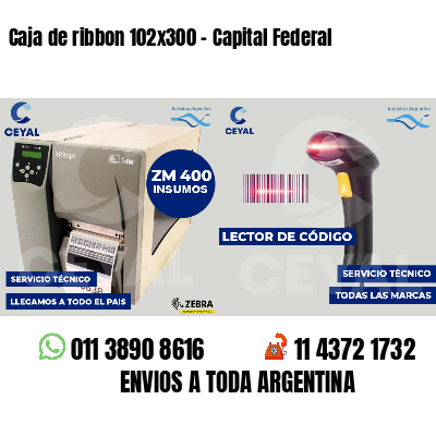 Caja de ribbon 102x300 - Capital Federal