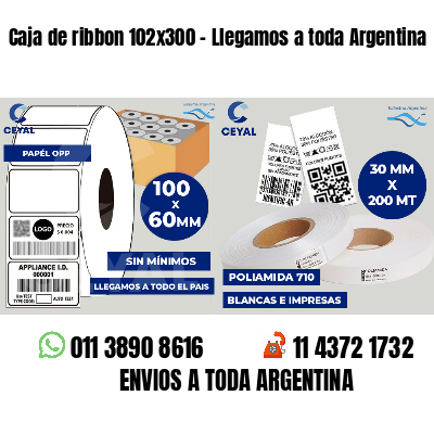 Caja de ribbon 102x300 - Llegamos a toda Argentina