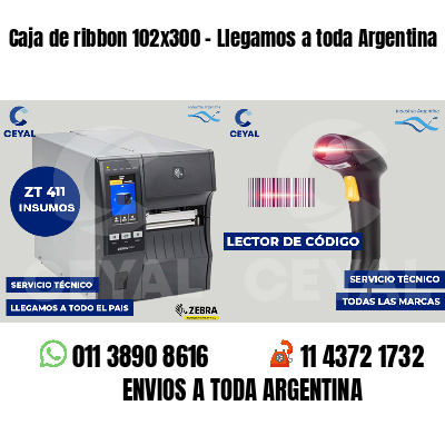 Caja de ribbon 102x300 - Llegamos a toda Argentina