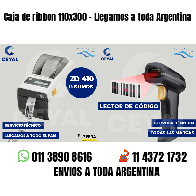 Caja de ribbon 110x300 - Llegamos a toda Argentina