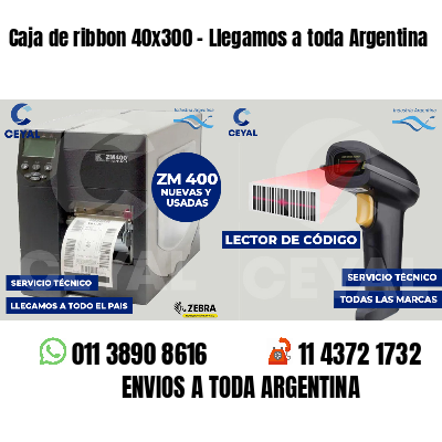 Caja de ribbon 40x300 - Llegamos a toda Argentina
