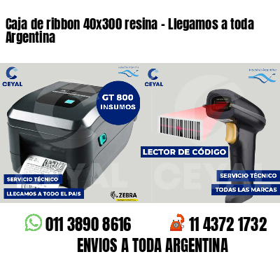 Caja de ribbon 40x300 resina - Llegamos a toda Argentina