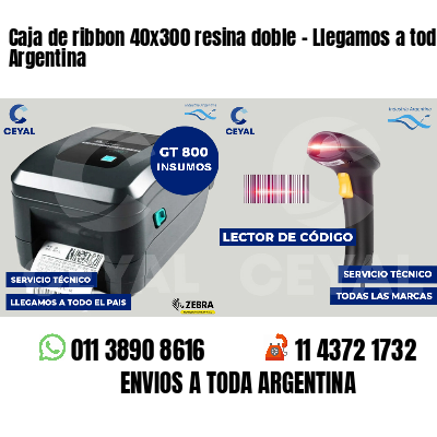 Caja de ribbon 40x300 resina doble - Llegamos a toda Argentina