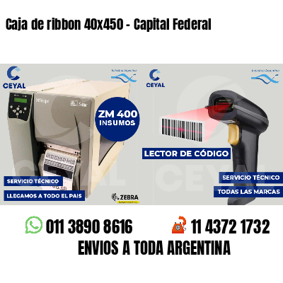 Caja de ribbon 40x450 - Capital Federal