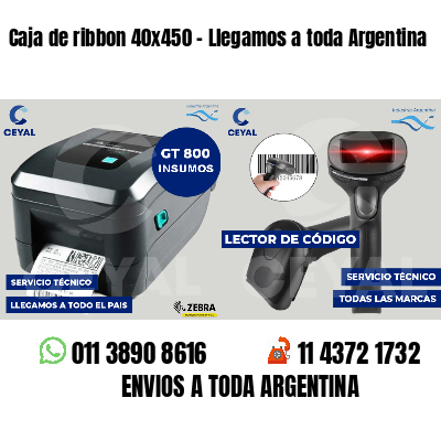 Caja de ribbon 40x450 - Llegamos a toda Argentina
