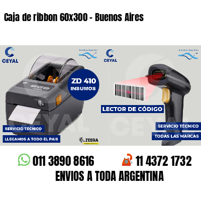 Caja de ribbon 60x300 - Buenos Aires