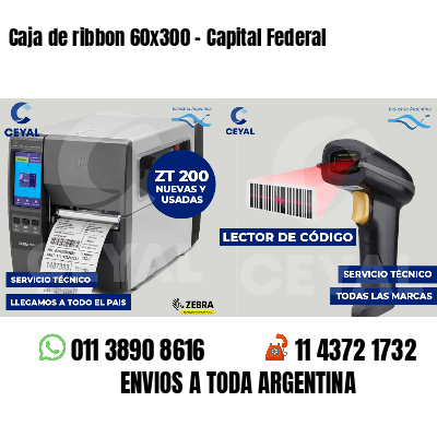 Caja de ribbon 60x300 - Capital Federal