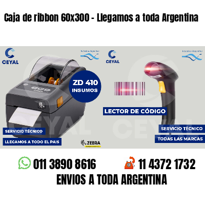 Caja de ribbon 60x300 - Llegamos a toda Argentina