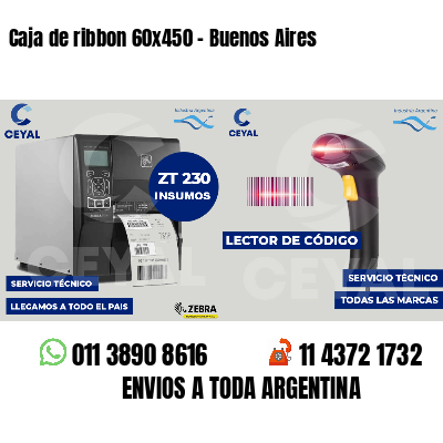 Caja de ribbon 60x450 - Buenos Aires
