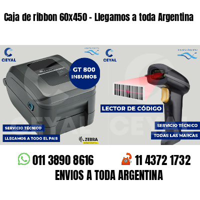Caja de ribbon 60x450 - Llegamos a toda Argentina
