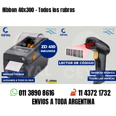 Ribbon 40x300 - Todos los rubros