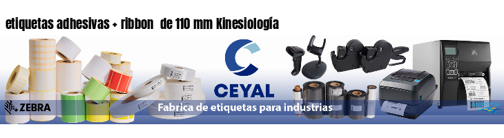 etiquetas adhesivas   ribbon  de 110 mm Kinesiología