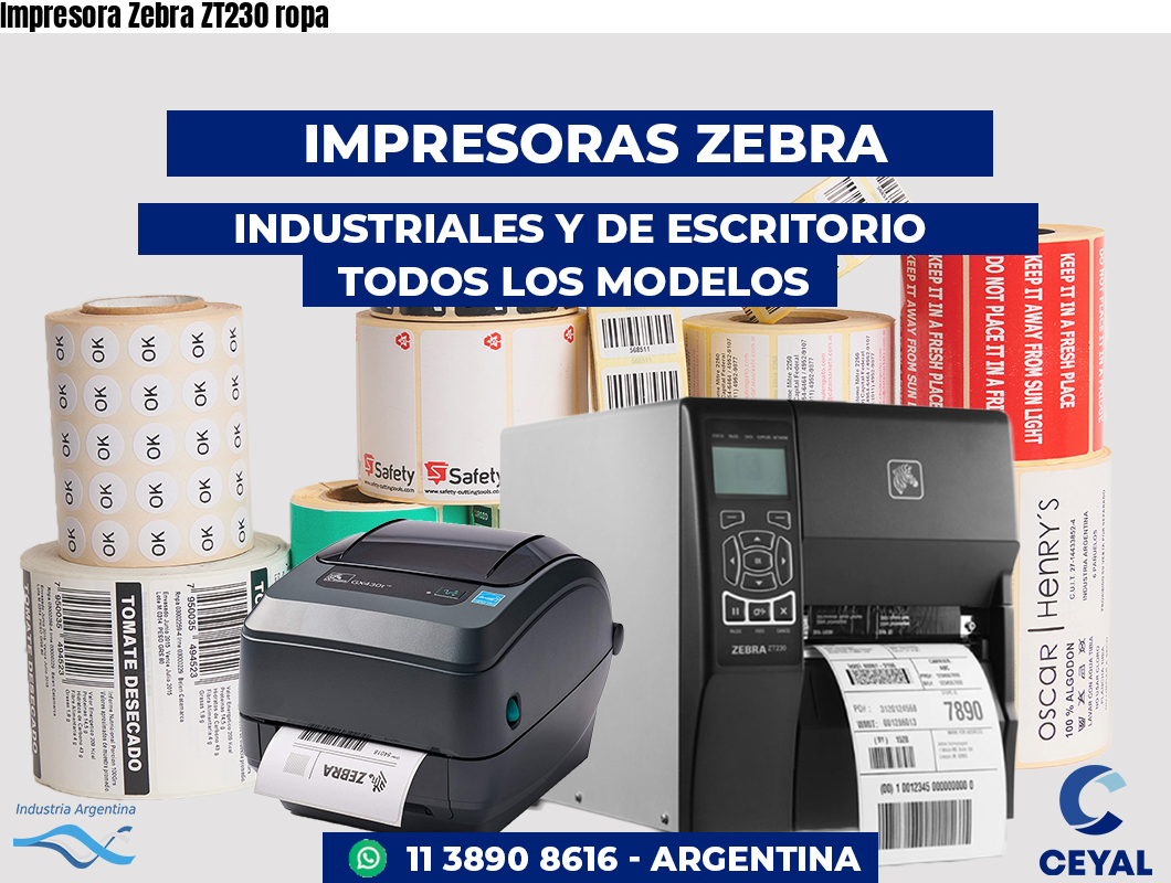 Impresora Zebra ZT230 ropa