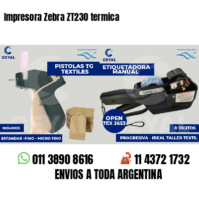 Impresora Zebra ZT230 termica