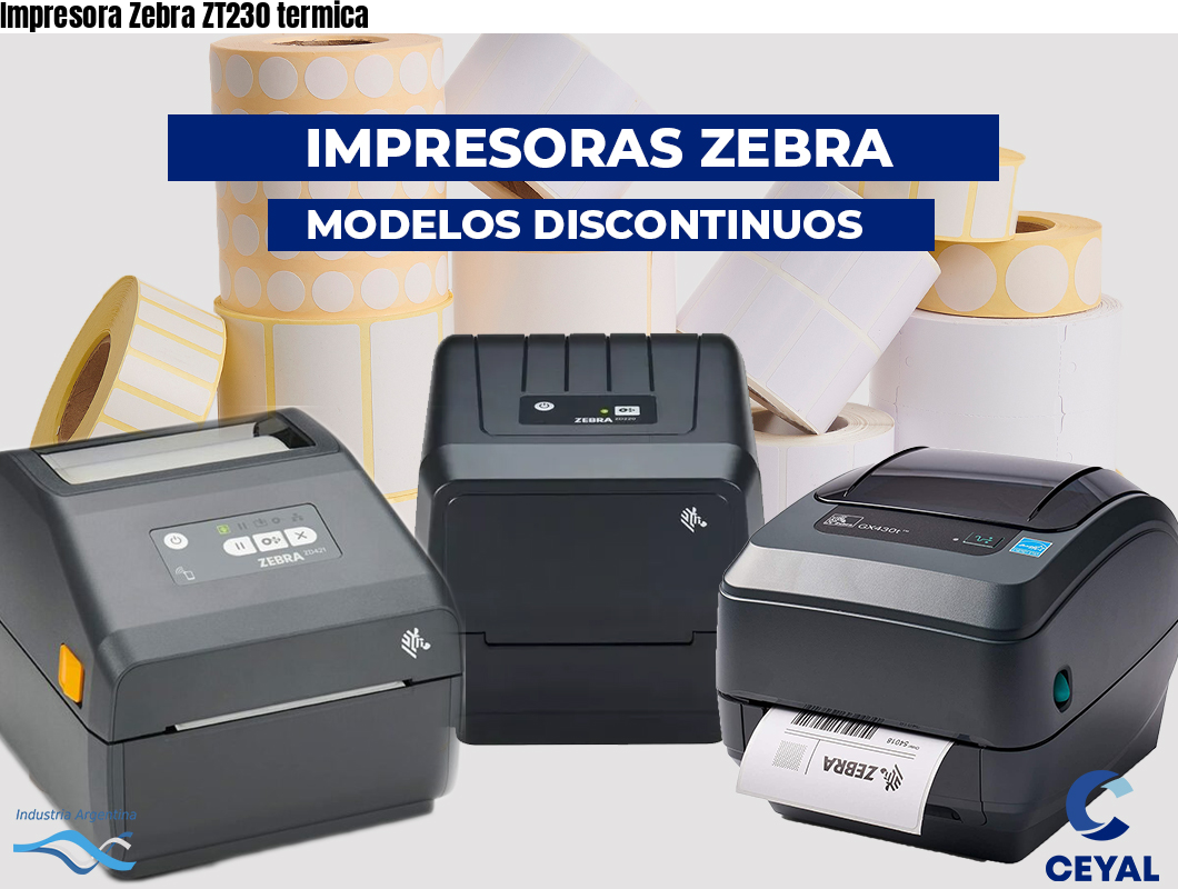 Impresora Zebra ZT230 termica
