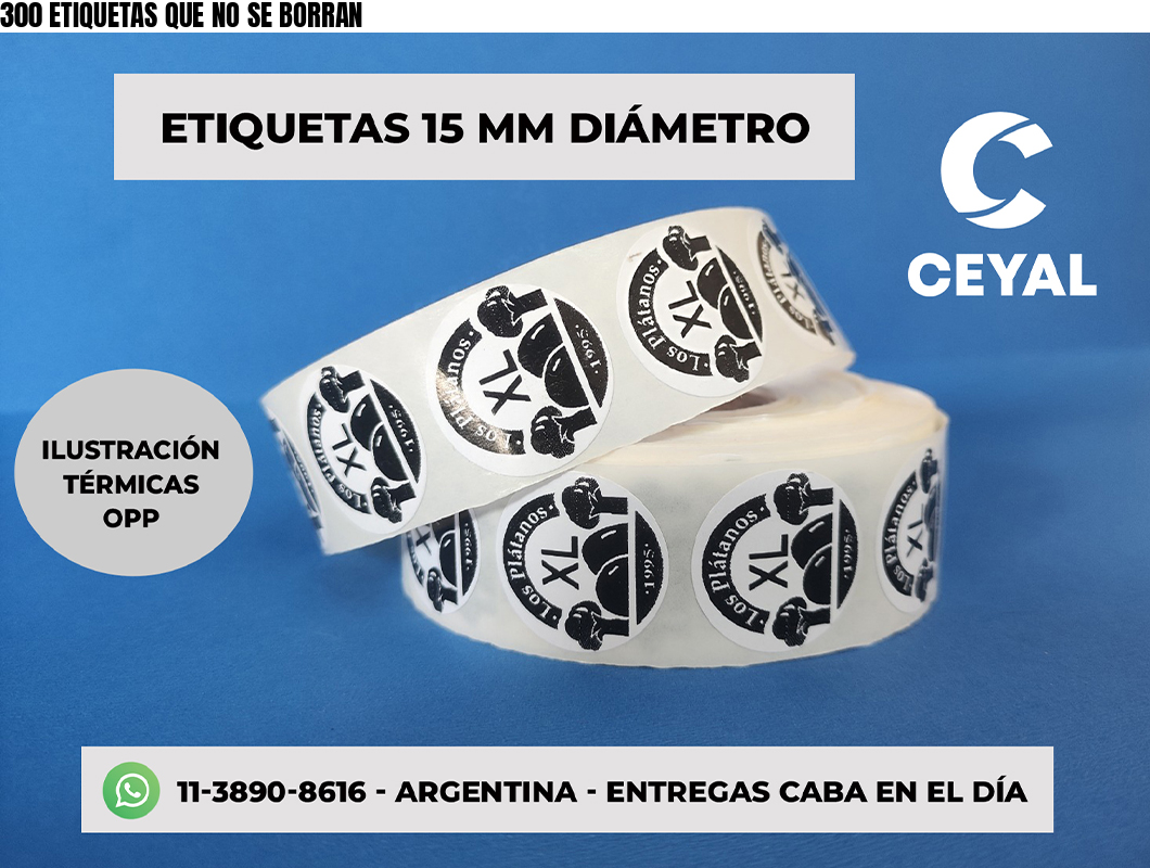 300 ETIQUETAS QUE NO SE BORRAN