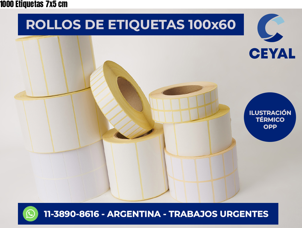 1000 Etiquetas 7×5 cm