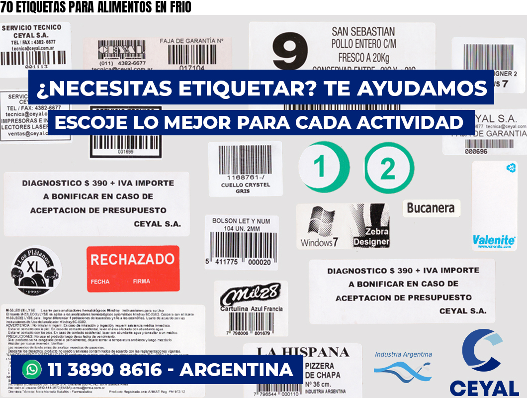 70 ETIQUETAS PARA ALIMENTOS EN FRIO