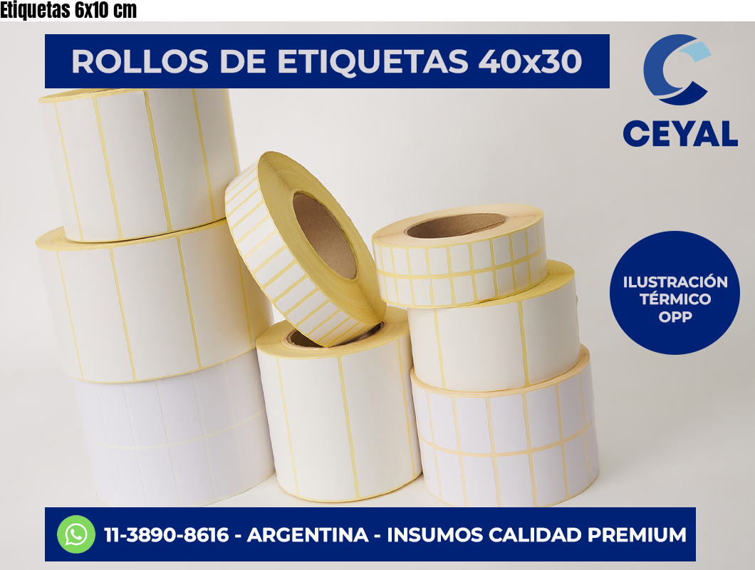 Etiquetas 6×10 cm