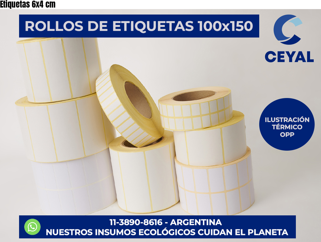 Etiquetas 6×4 cm