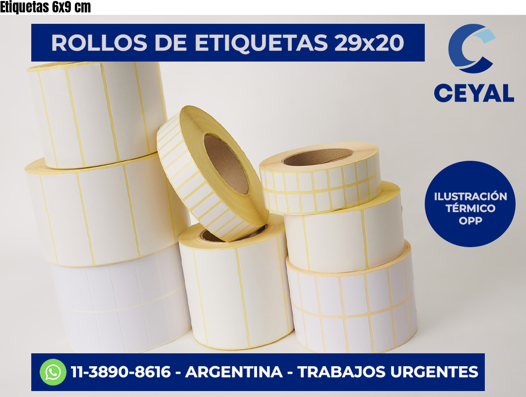 Etiquetas 6×9 cm