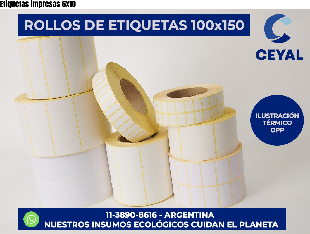 Etiquetas impresas 6×10