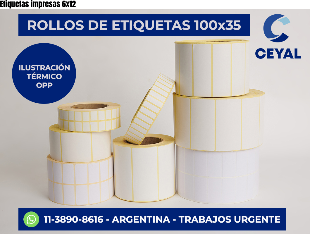 Etiquetas impresas 6×12