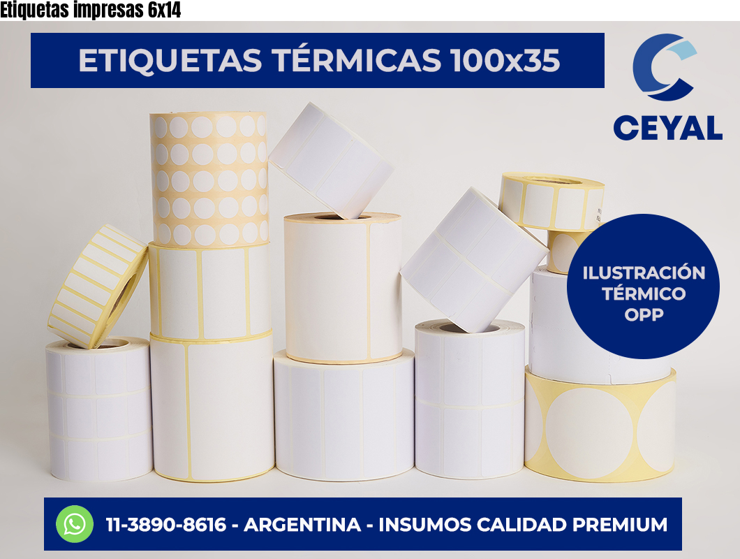 Etiquetas impresas 6×14