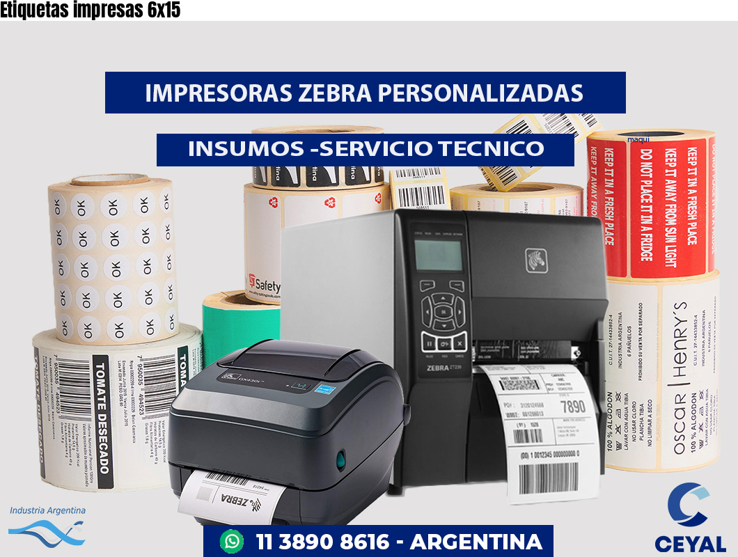Etiquetas impresas 6x15