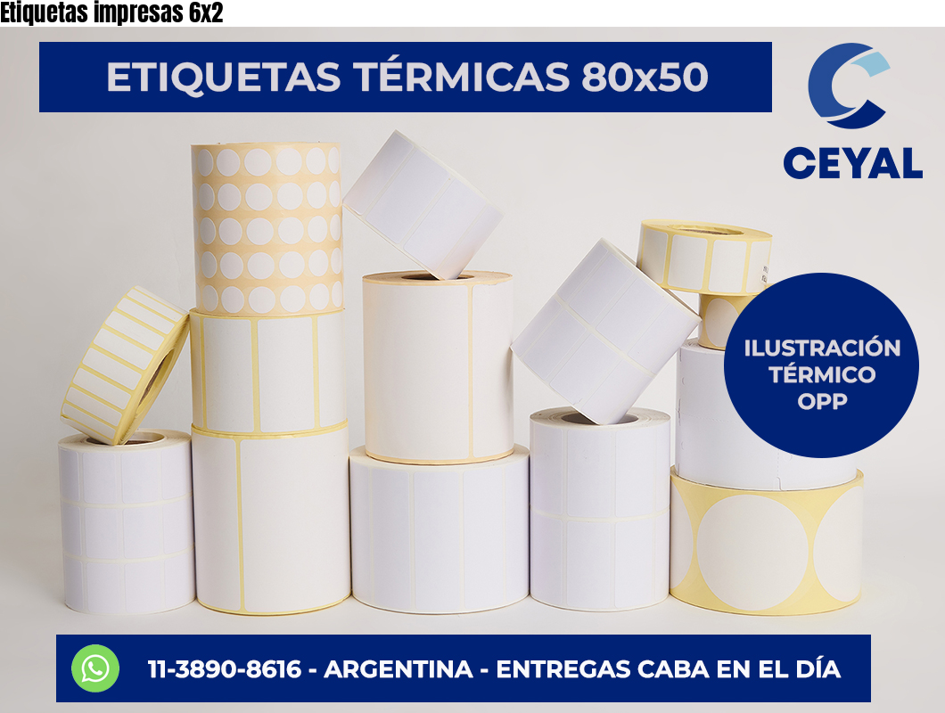 Etiquetas impresas 6×2