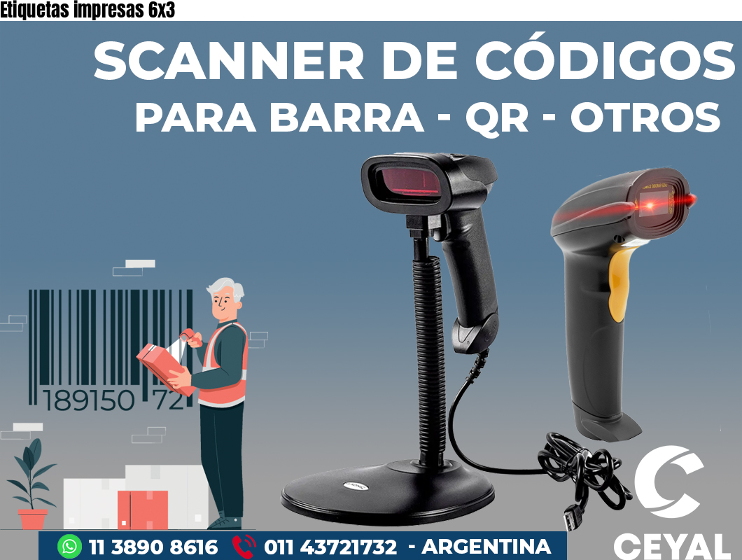 Etiquetas impresas 6x3 