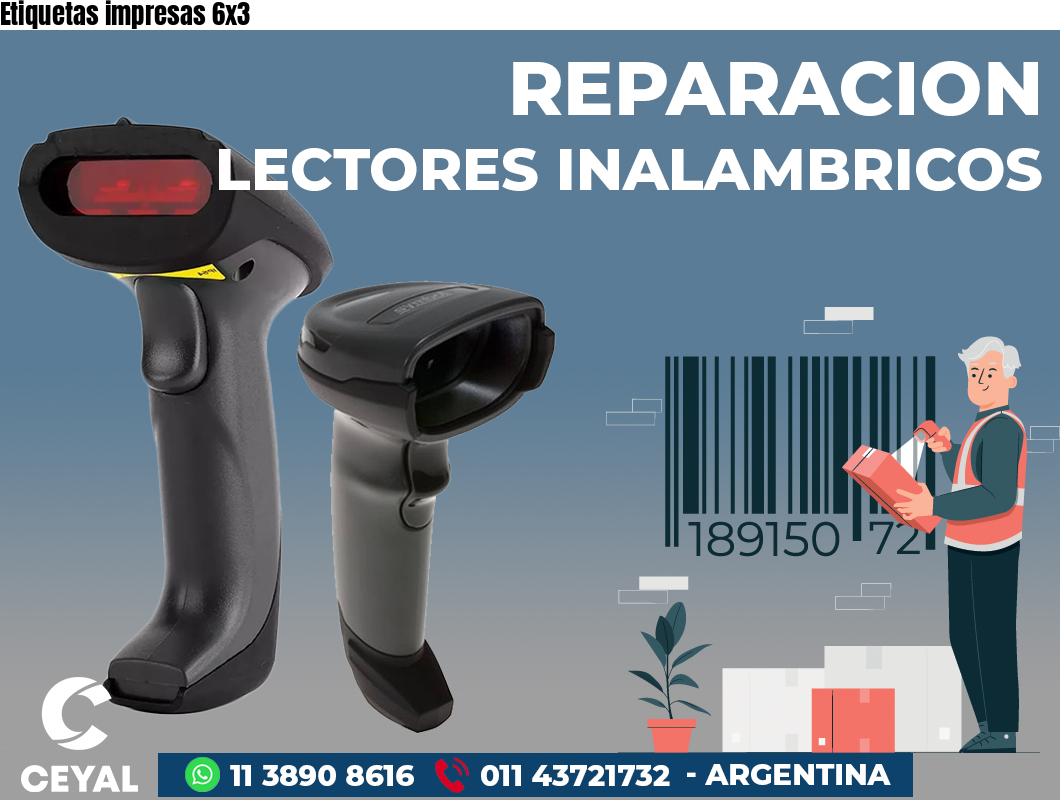 Etiquetas impresas 6x3