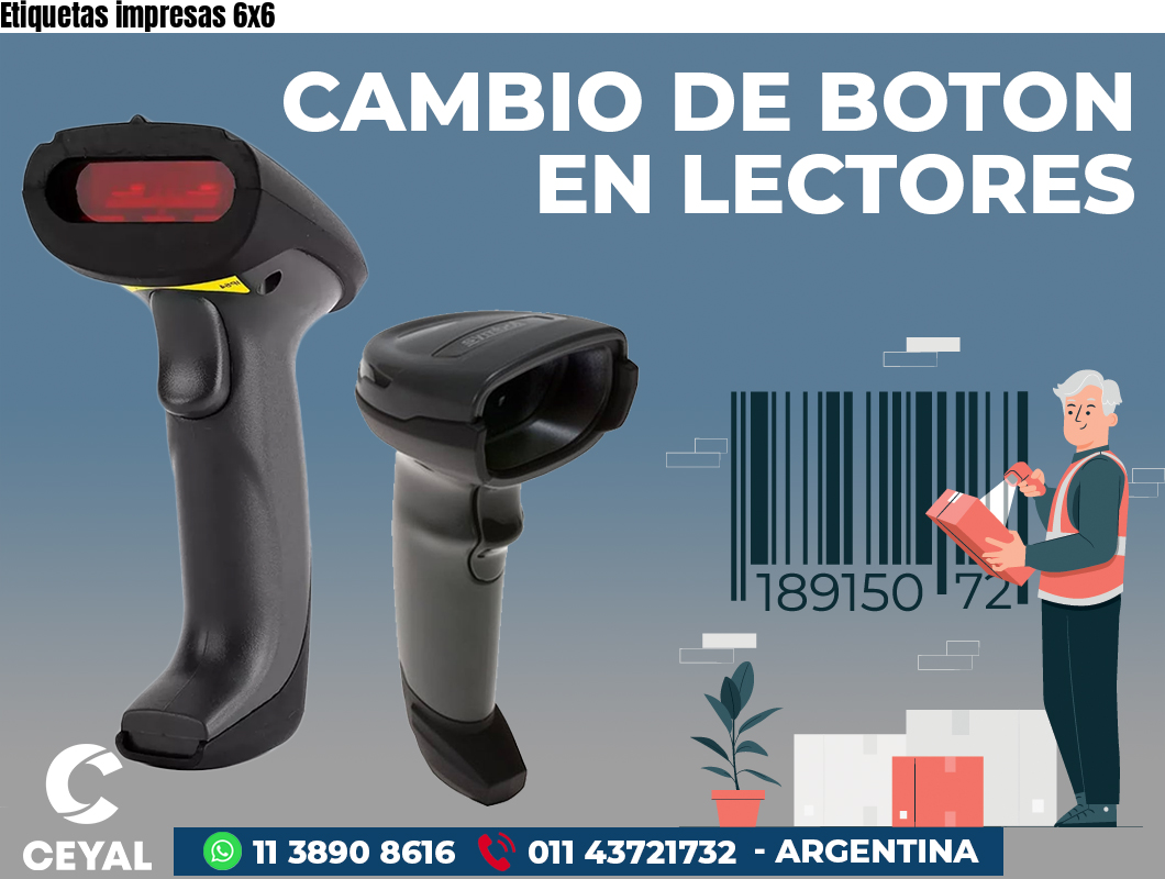 Etiquetas impresas 6x6