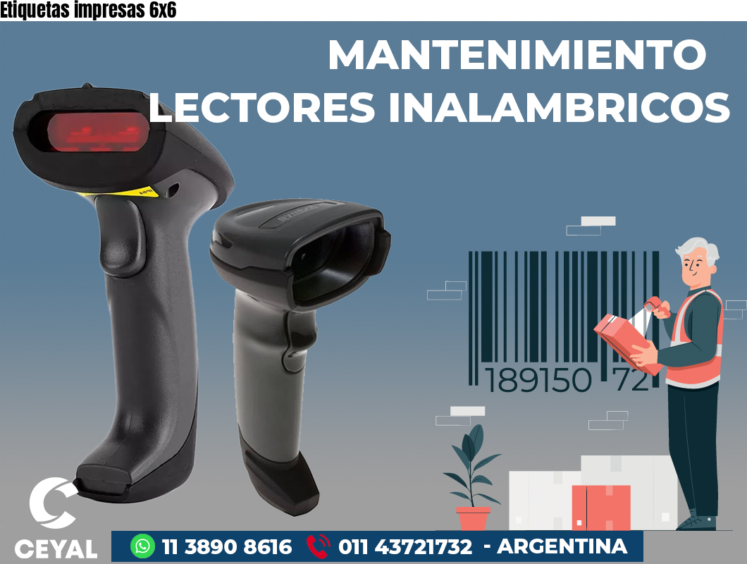 Etiquetas impresas 6x6
