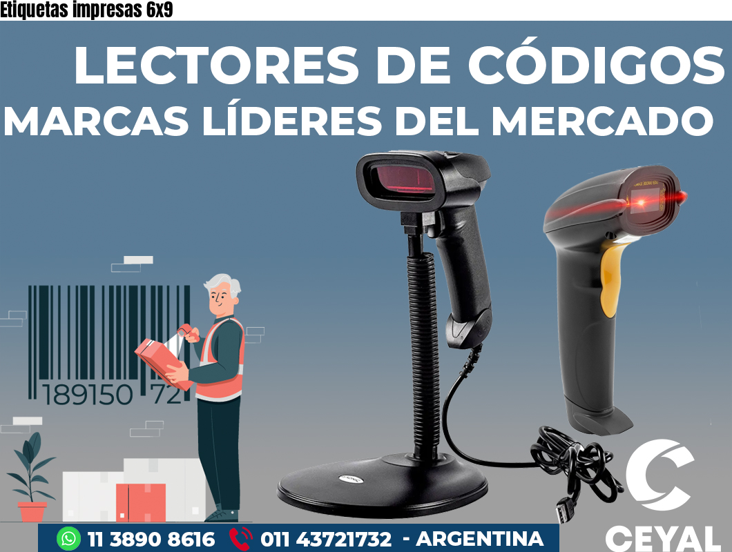 Etiquetas impresas 6x9