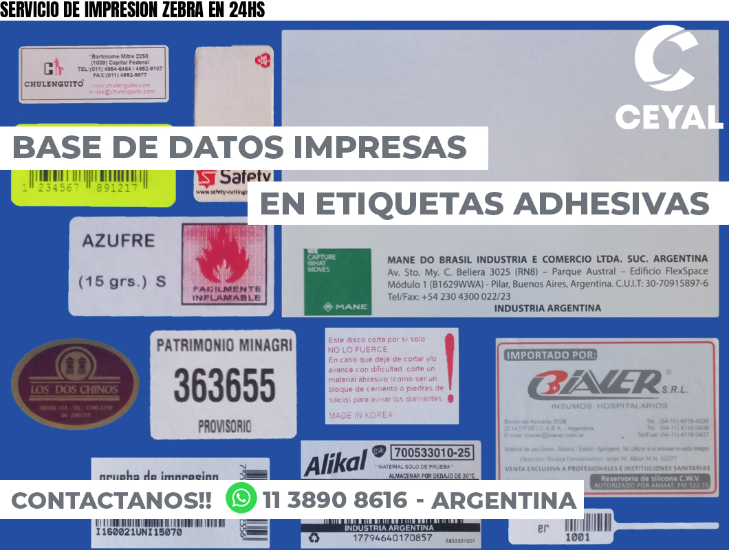 SERVICIO DE IMPRESION ZEBRA EN 24HS