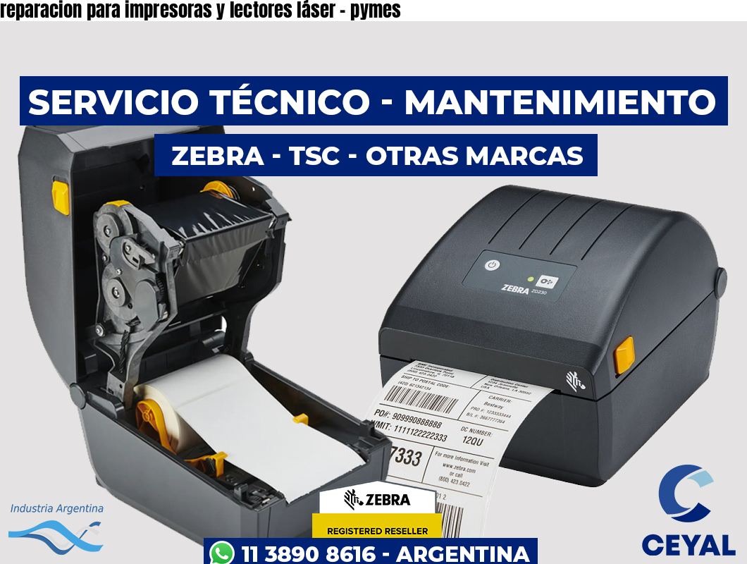 reparacion para impresoras y lectores láser – pymes