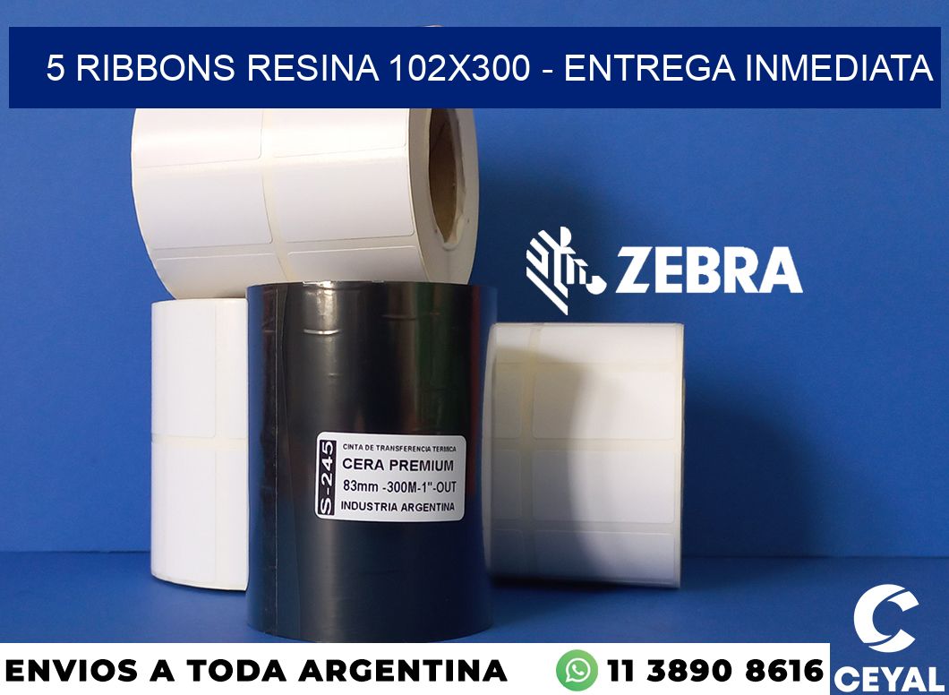 5 Ribbons resina 102x300 - Entrega inmediata