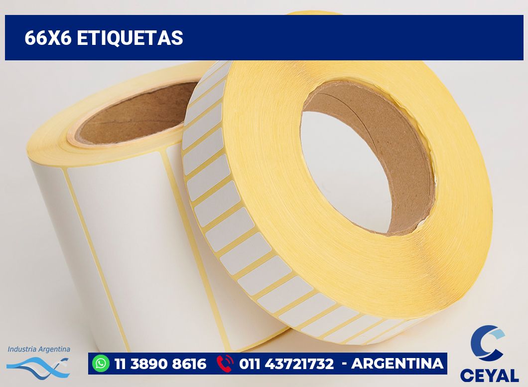 66x6 Etiquetas