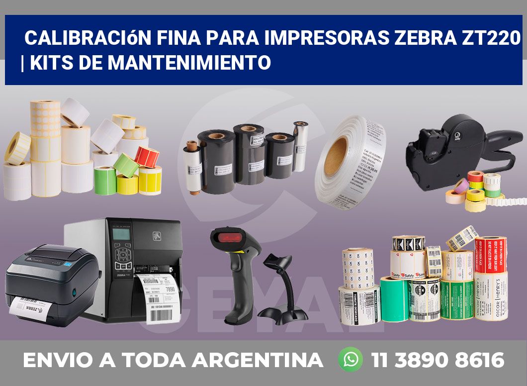 Calibración fina para impresoras Zebra ZT220 | Kits de mantenimiento