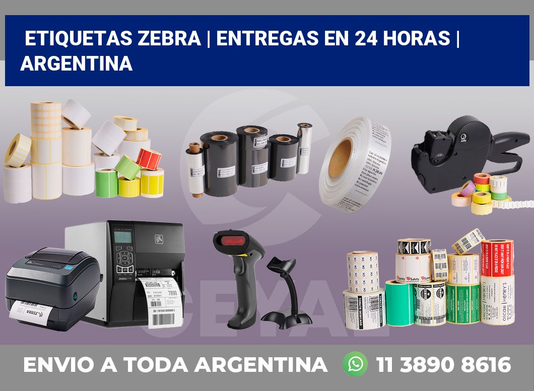 Etiquetas Zebra | Entregas en 24 horas | Argentina