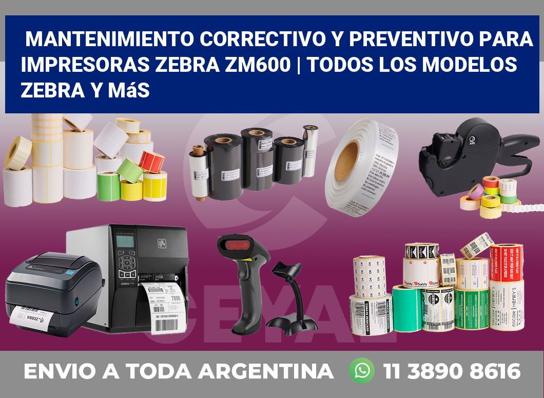 Mantenimiento correctivo y preventivo para impresoras Zebra ZM600 | Todos los modelos Zebra y más