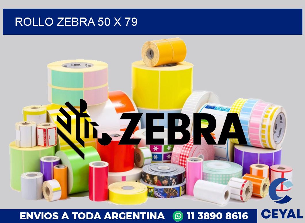 rollo zebra 50 x 79